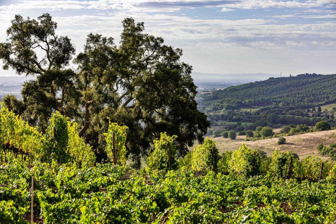 גאבוראנו La Foresteria Di Rocca Di Frassinello מראה חיצוני תמונה